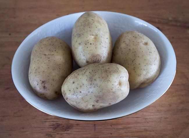 Halifax police say they can't confirm whether needle was ever in P.E.I. potato | iNFOnews.ca Halifax police say they can't confirm whether needle was ever in P.E.I. potato | iNFOnews.ca