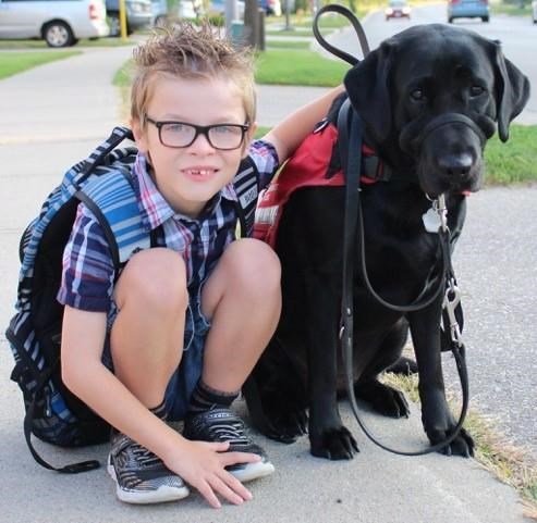Ontario family fights to have autistic son's service dog allowed in classroom | iNFOnews.ca Ontario family fights to have autistic son's service dog allowed in classroom | iNFOnews.ca