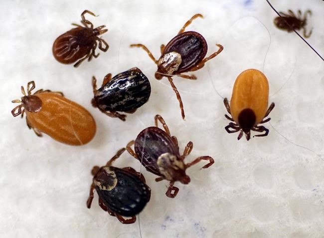 University of Guelph setting up lab to research Lyme disease with $1.4M donation | iNFOnews.ca