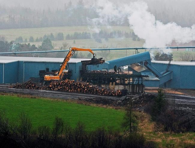 Independent review of Nova Scotia forestry given two-month extension | iNFOnews.ca