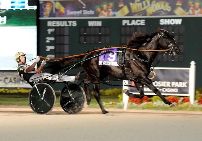 New Zealand-bred Lazarus to take a run at adding Pacing Derby title to resume | iNFOnews.ca