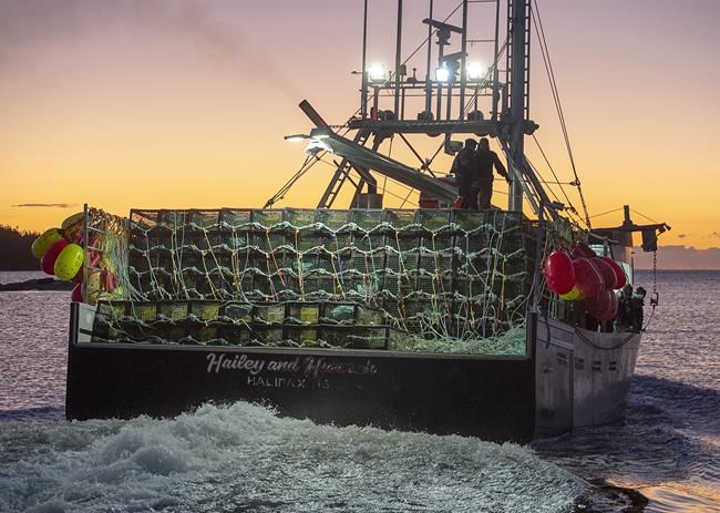 Nova Scotia sends 'test' lobster shipment to China after month with no market | iNFOnews.ca