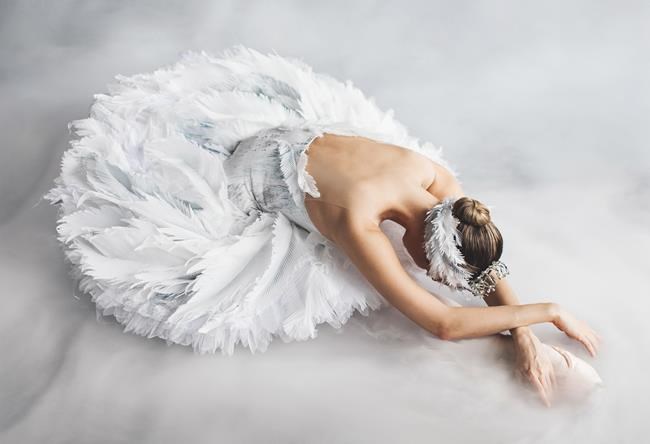 National Ballet's Karen Kain to make directorial debut with revamped 'Swan Lake' | iNFOnews.ca National Ballet's Karen Kain to make directorial debut with revamped 'Swan Lake' | iNFOnews.ca