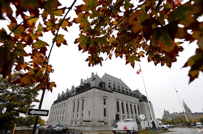 Top court to hear case exploring police use of force in Caledonia, Ont. | iNFOnews.ca Top court to hear case exploring police use of force in Caledonia, Ont. | iNFOnews.ca