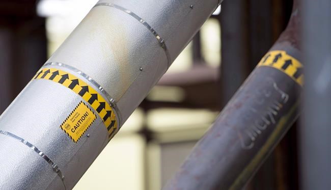 Appeal of NEB pipeline jurisdiction decision 'highly probable': B.C. activist | iNFOnews.ca