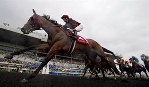 Queen's Plate winner Midnight Aria won't run in Prince of Wales Stakes | iNFOnews.ca CP24223597