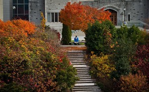 Stock up on ramen noodle: cost of university to rise 13 per cent over four years | iNFOnews.ca CP29826960