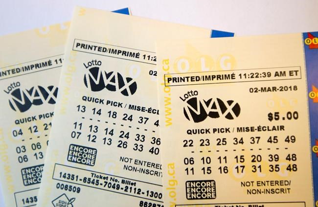 How many new millionaires? Newfoundlanders' $60M lotto win to be confirmed soon | iNFOnews.ca