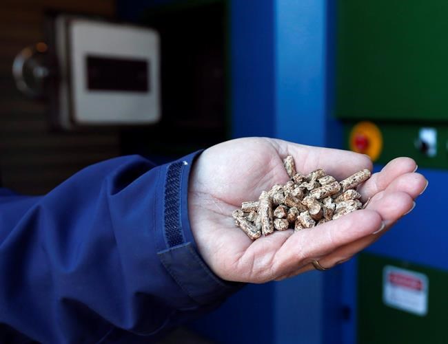 Canada's other contentious energy export sees strong growth potential | iNFOnews.ca