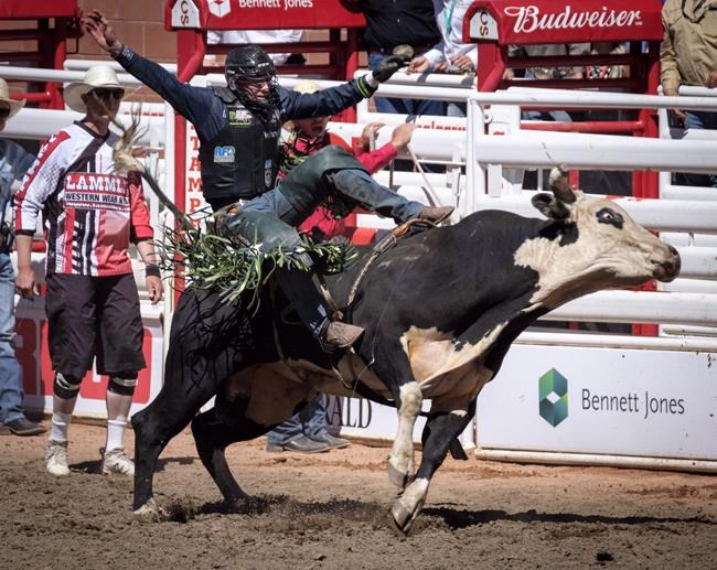 Preparing the brain for the bull, riders say don't think about it | iNFOnews.ca Preparing the brain for the bull, riders say don't think about it | iNFOnews.ca