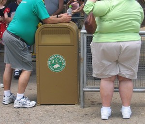 Adult obesity rates at historic high, North and Maritimes tip the scale most: study | iNFOnews.ca CP22242360