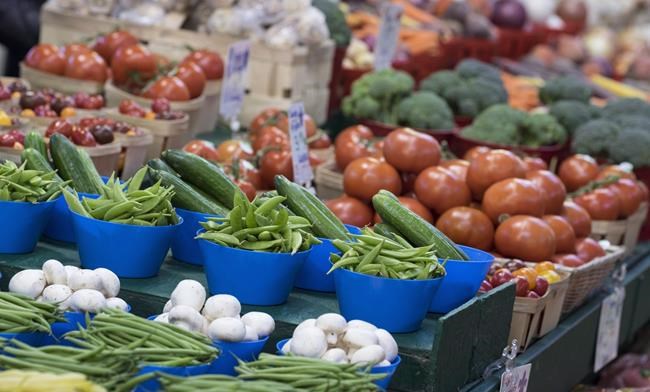 Scheer's pledge to review new Food Guide challenged by health community | iNFOnews.ca Scheer's pledge to review new Food Guide challenged by health community | iNFOnews.ca