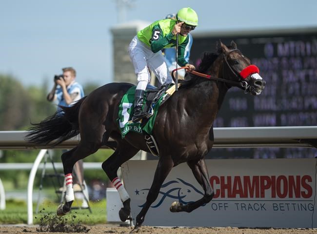 Plate champion One Bad Boy early favourite for Prince of Wales Stakes | iNFOnews.ca
