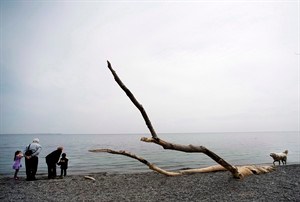 CP29824396