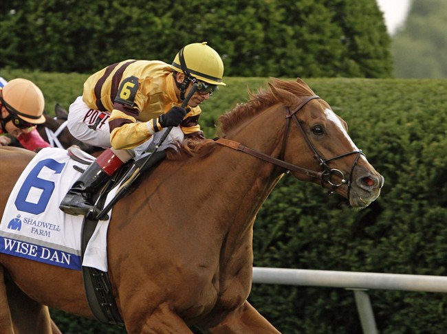 Two-time champion Wise Dan tops the list of Woodbine Mile nominations | iNFOnews.ca CP34364648