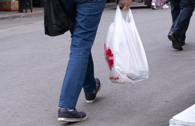City council in Prince Albert, Sask., votes to give plastic bags the boot | iNFOnews.ca CP1126254357