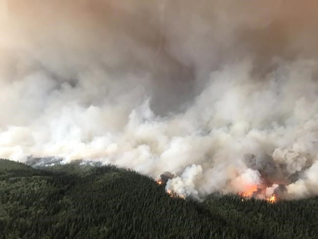 CP1171548296