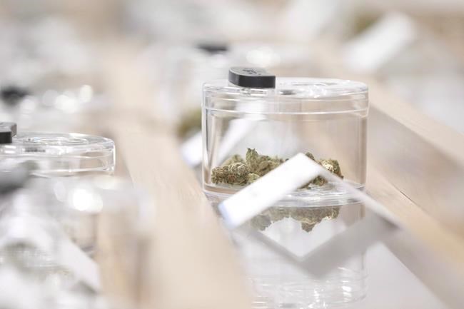 Only two cautions issued to Manitoba retailers since cannabis legalized | iNFOnews.ca Only two cautions issued to Manitoba retailers since cannabis legalized | iNFOnews.ca