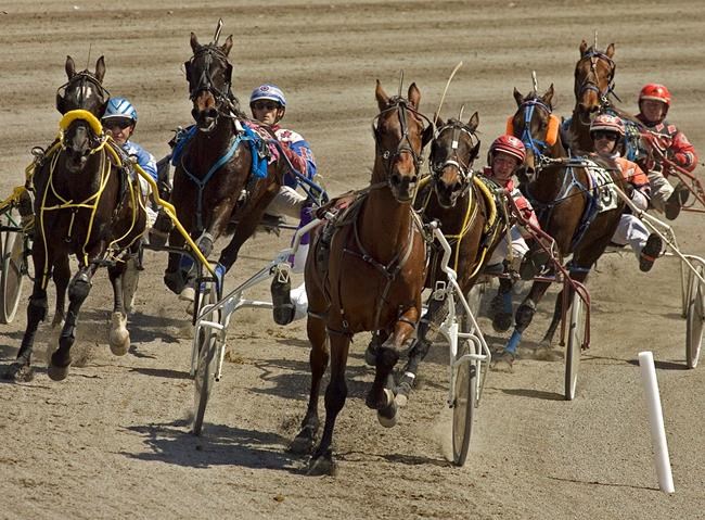 Harness drivers thankful to be racing at Woodbine Mohawk Park during pandemic | iNFOnews.ca CP1536717336