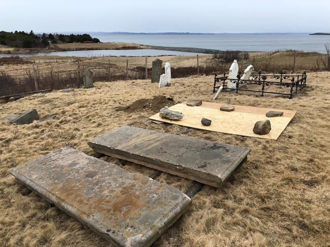 Newfoundland man pleads not guilty in case of skeleton stolen from graveyard | iNFOnews.ca
