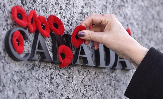 More Canadians plan to attend Remembrance Day ceremonies this year: poll | iNFOnews.ca More Canadians plan to attend Remembrance Day ceremonies this year: poll | iNFOnews.ca