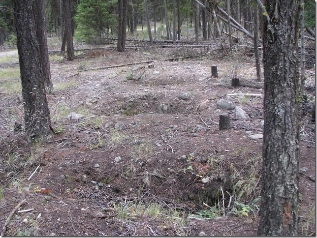 Trinket hunters blamed for targeting ghost town cemetery in southern B.C. | iNFOnews.ca