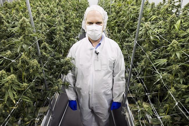 MedReleaf signs agreement to supply marijuana to Shoppers Drug Mart | iNFOnews.ca