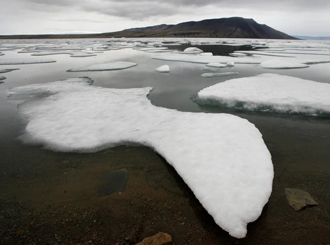 'City of icebergs:' Study says 100s of Arctic glaciers shrinking, disappearing | iNFOnews.ca