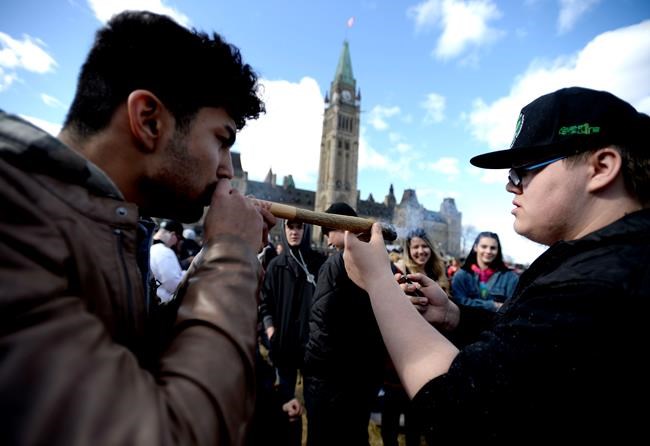 StatCan to get cannabis sales data to measure economic impacts, black market | iNFOnews.ca