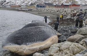CP28291878