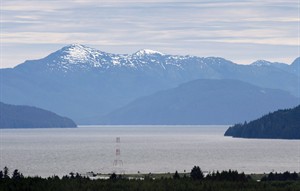CP29105589