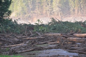 Water use ban imposed southeast of Quesnel after tailings pond breached | iNFOnews.ca CP29377808