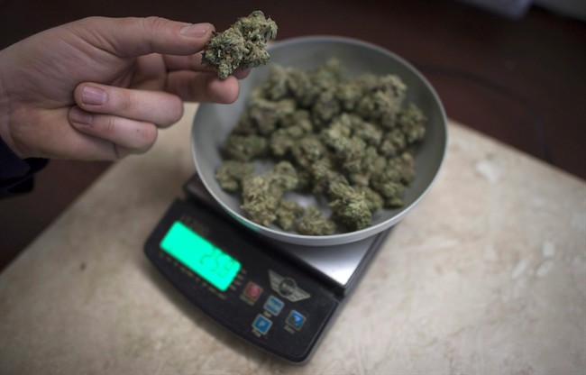 Municipalities will follow Vancouver's lead on marijuana: councillor | iNFOnews.ca CP33671550