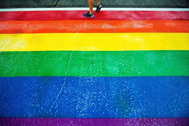 Small Newfoundland town that rejected rainbow crosswalk to hold Pride Week | iNFOnews.ca Small Newfoundland town that rejected rainbow crosswalk to hold Pride Week | iNFOnews.ca