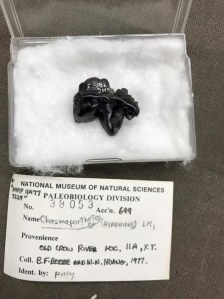 CP1955393060