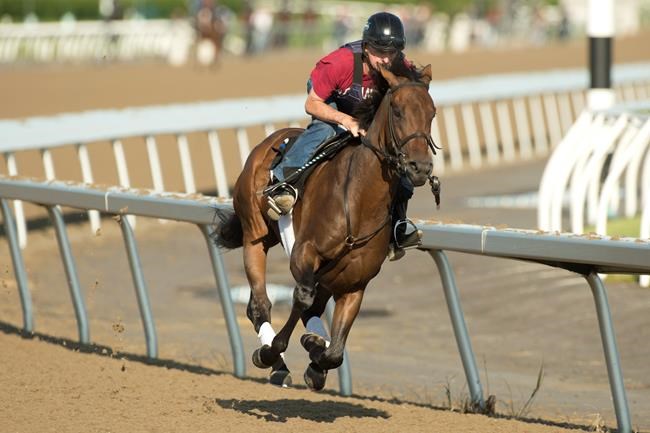 Early Queen's Plate favourite Avie's Flatter draws outside post position | iNFOnews.ca Early Queen's Plate favourite Avie's Flatter draws outside post position | iNFOnews.ca