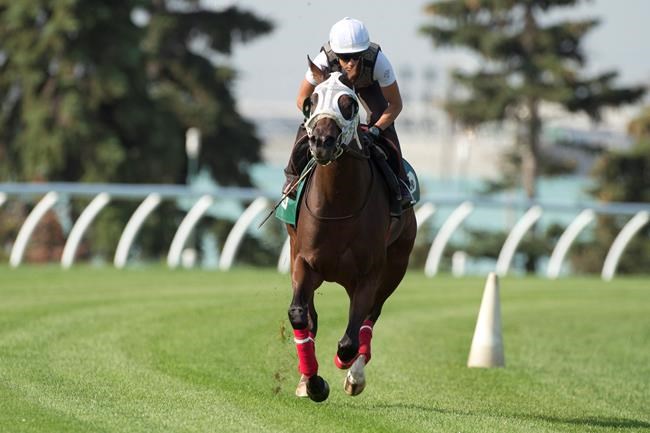 Prince of Wales winner Cool Catomine draws outside post for Breeders' Stakes | iNFOnews.ca