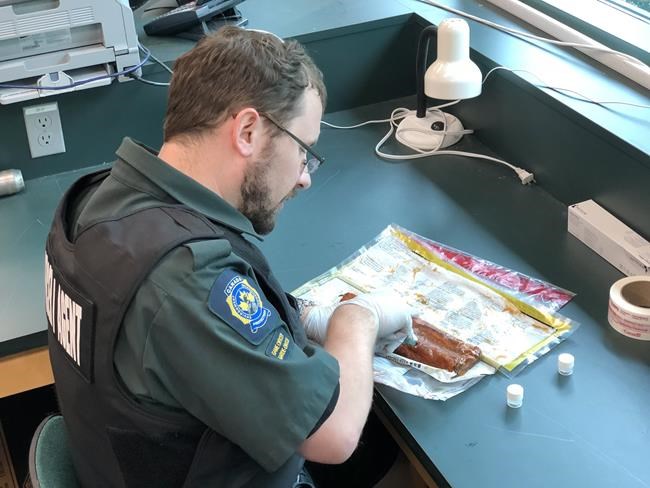 'Largest detention ever:' Canadians seize eel meat in 92-country wildlife sting | iNFOnews.ca CP2007466410
