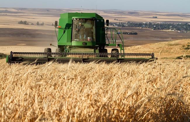Paterson GlobalFoods to build mill in Winnipeg to handle western Canadian oats | iNFOnews.ca Paterson GlobalFoods to build mill in Winnipeg to handle western Canadian oats | iNFOnews.ca