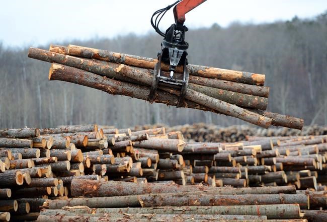 Softwood lumber: Canada takes its complaint to the World Trade Organization | iNFOnews.ca