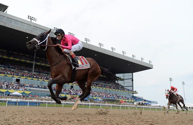 Canadian-bred filly Wonder Gadot to run next in US$1.25-million Travers Stakes | iNFOnews.ca