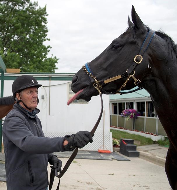 Veteran trainer Roger Attfield chasing record ninth win at Queen's Plate | iNFOnews.ca