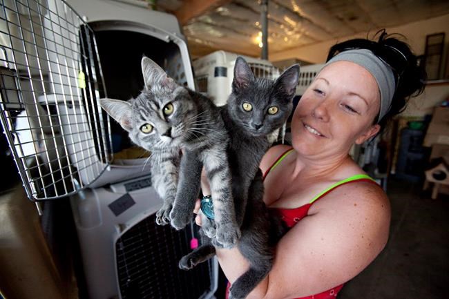 'It somehow touched people:' High River animal shelter saved after public plea | iNFOnews.ca