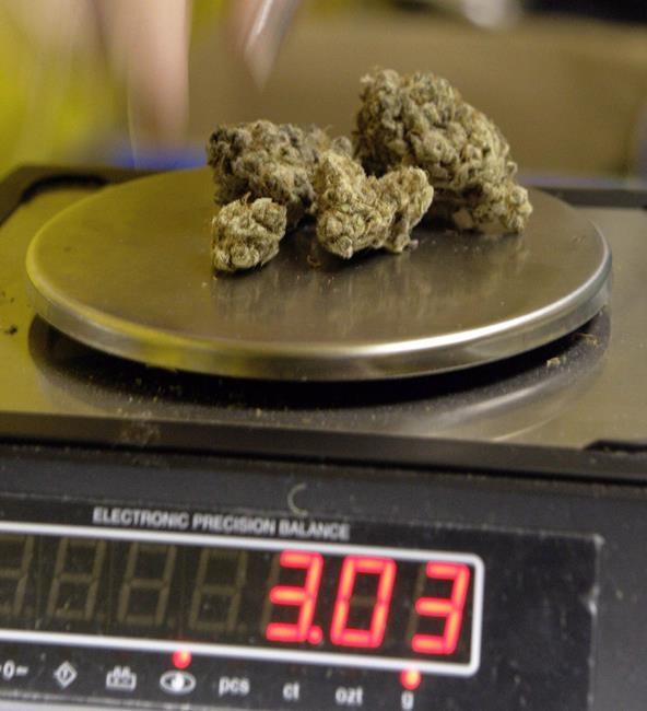 Hundreds of veterans likely affected by federal cuts to medicinal pot allotment | iNFOnews.ca
