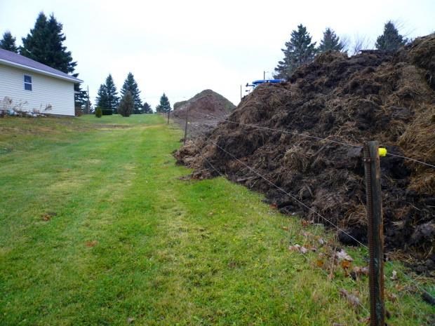 New Brunswick farmer vows to appeal in massive-pile-of-manure case | iNFOnews.ca New Brunswick farmer vows to appeal in massive-pile-of-manure case | iNFOnews.ca