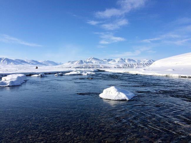 Small Arctic climate changes make big difference in ecosystem: study | iNFOnews.ca