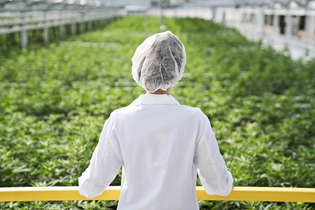 Aphria exits U.S. for now with sale of interest in Liberty Health Sciences | iNFOnews.ca