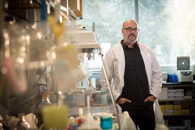 Antibiotic resistance growing global threat that needs to be countered: experts | iNFOnews.ca Antibiotic resistance growing global threat that needs to be countered: experts | iNFOnews.ca