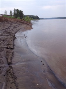 Independent tests say oily sheen on Alberta river likely from algae | iNFOnews.ca