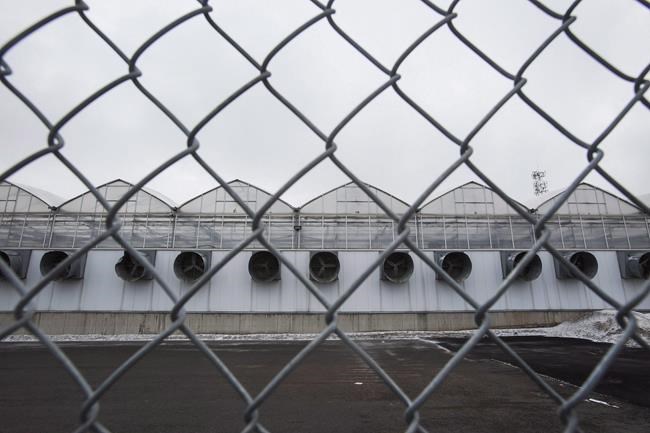Hexo winds down operations at Niagara-area greenhouse as part of cost cutting | iNFOnews.ca